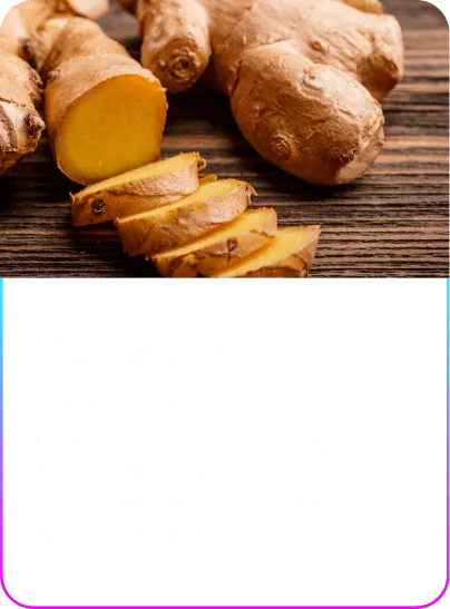 Gengibre-3-1-1.webp