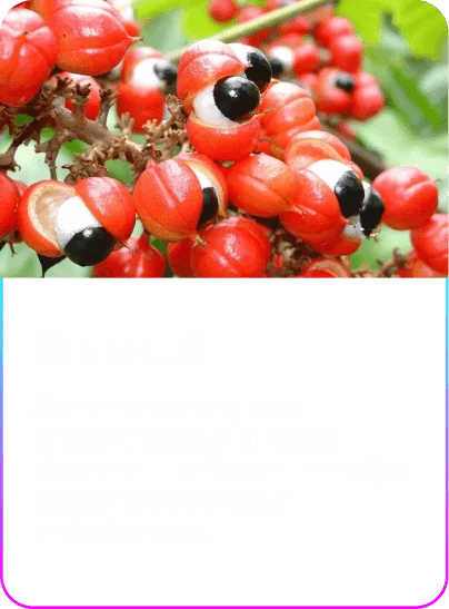 Guarana-1-1-1.webp